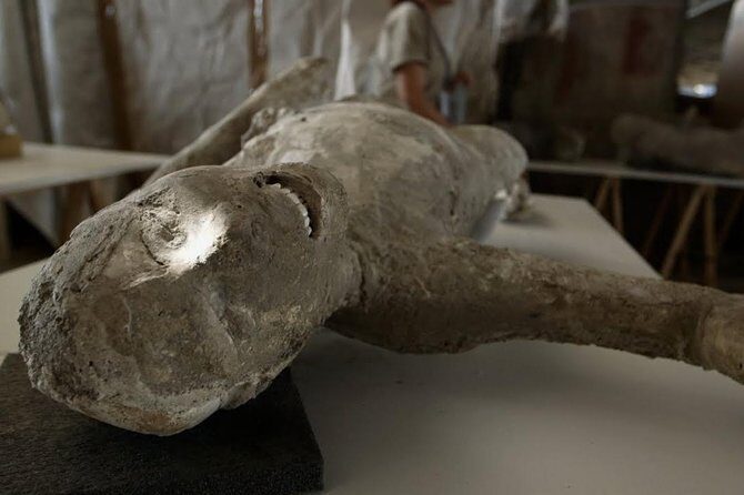 Visit Pompeii Sorrento Positano - What to Expect from This Tour Experience