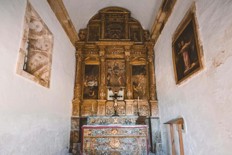 Visit Qt Sobre a Fonte with wine tasting and picnic - pet friendly - What to Expect from the Tour