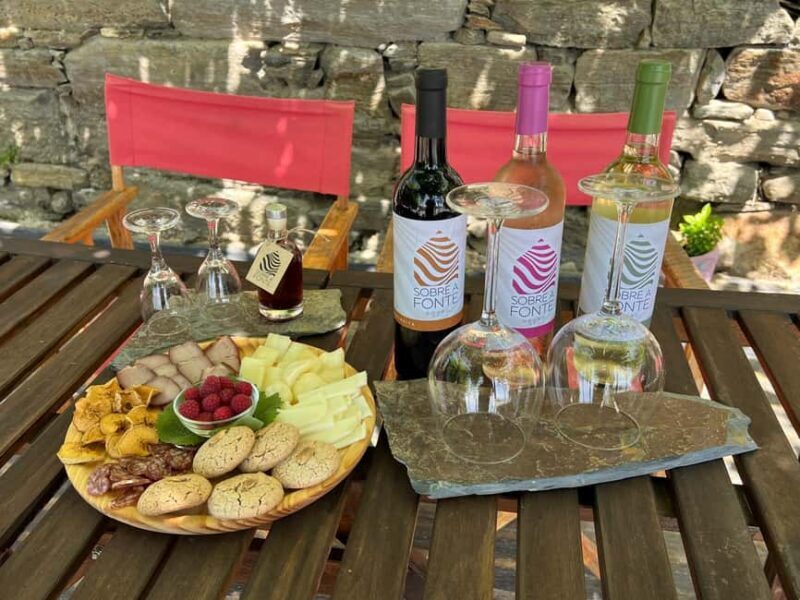 Visit Qt Sobre a Fonte with wine tasting and picnic - pet friendly - Who Would Love This Tour?