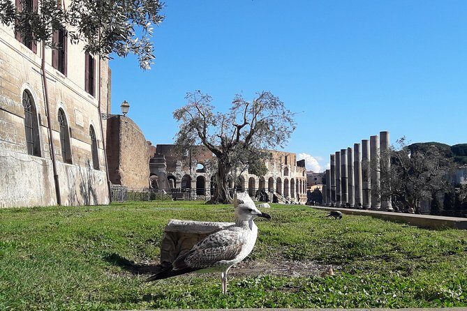 Visit Rome Highlights in 1 Day: VIP Coliseum and Vatican Tour, lunch & transfers - The Pace and Practicalities