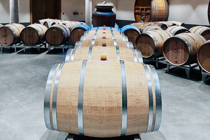 Visit Saint-Emilion and Pomerol:Vineyards, lunch and tastings included - FAQ