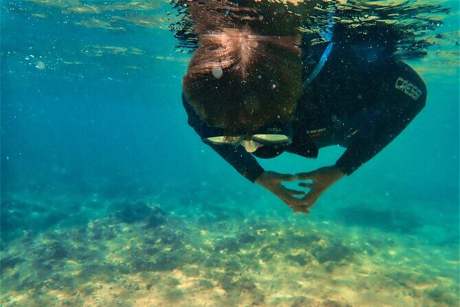 Visit Secret Caves, Hidden Beaches and Snorkel in Alvor, Portugal - FAQs