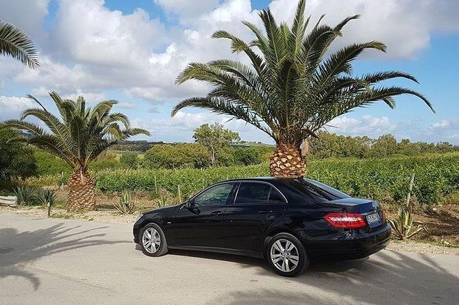 Visit Segesta and Selinunte from Trapani - Who Will Love This Tour?