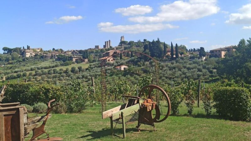 Visit Siena and San Gimignano with lunch at a family farm - Exploring San Gimignano: The Town of Towers
