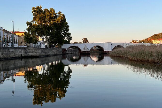 Visit Silves Medieval Town by Boat with Hop-Off Hop-On - Who Should Consider This Tour?