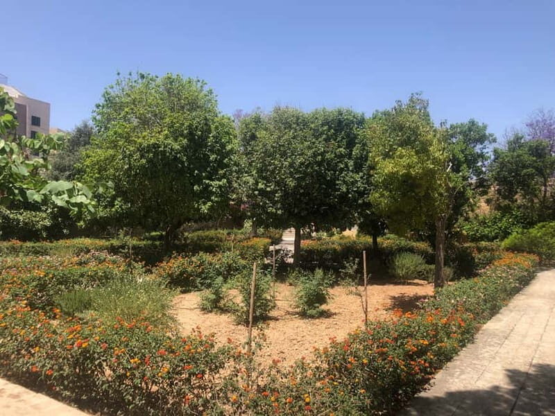 Visit Tarxien Temples, Kalanka Bay, Blue Grotto, Marsaxlokk - A Deep Dive Into the Experience