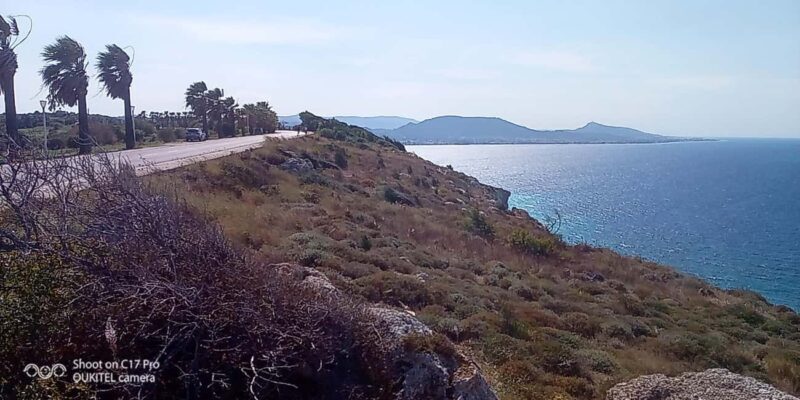 Visit the 10 best places in Rhodes with free Wine Tasting - The Experience from Reviews