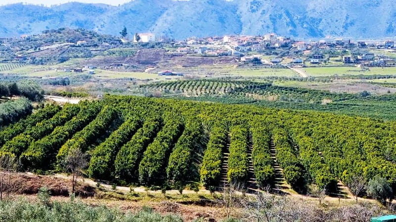 Visit the city of Konispol - Discovering Konispol: What to Expect