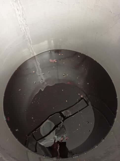 Visit the distillery of Ischia island - Final Thoughts