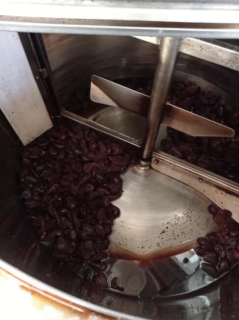 Visit the distillery of Ischia island - FAQ