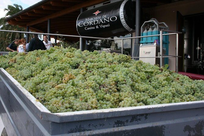 Visit the Marchesi de Cordano winery and taste its wines - What the Reviews Say