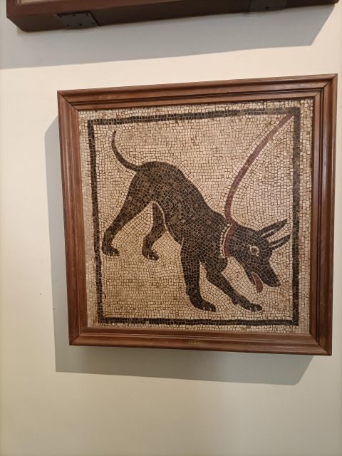 Visit the Museum MANN with a professional guide - Key Points