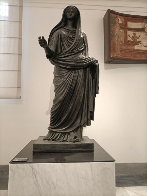 Visit the Museum MANN with a professional guide - What to Expect During Your Visit