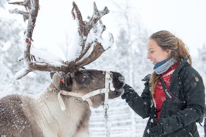 Visit the Sami and Reindeer in a Day Trip from Abisko - Practical Details