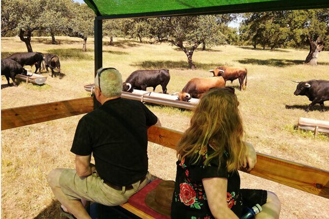 Visit to a brave bull farm in Andalusia - What the Tour Entails: An In-Depth Look