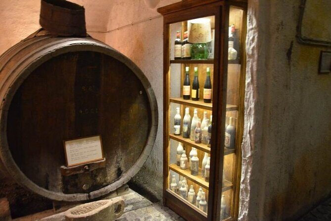 Visit to a Wine Museum and Wine Tasting in Santorini - Who Should Consider This Tour?