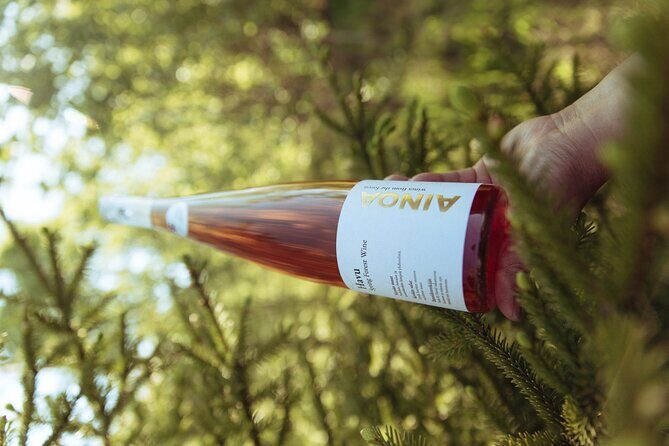 Visit to Authentic Finnish Berry Winery, Tasting Included - A Deep Dive into the Finnish Berry Winery Tour