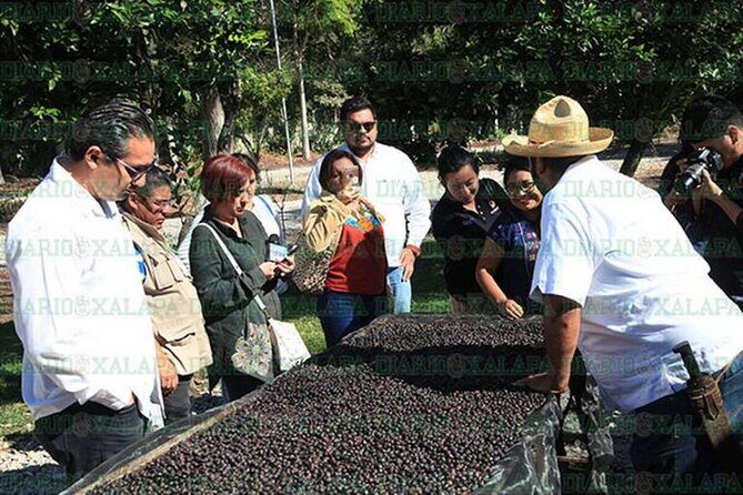 Visit to Coffee Farm with Tasting in Coatepec - FAQ