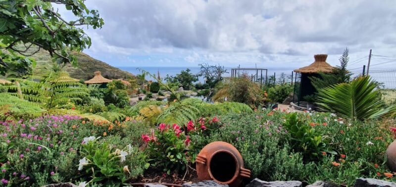 Visit to Madeira Bird Island - The Practical Side of Your Visit