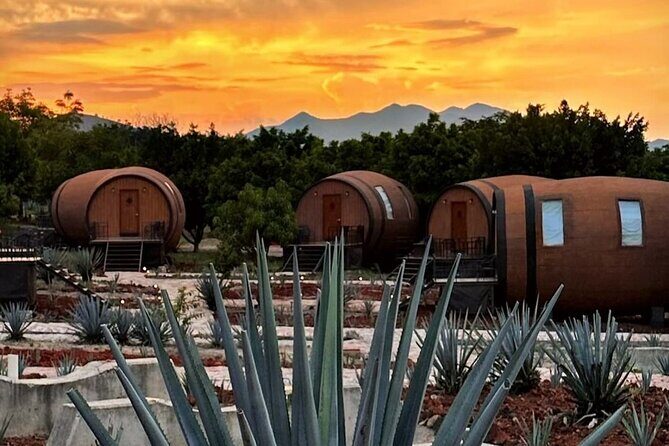 Visit to Matices Hotel de Barricas in Tequila Jalisco - What Makes This Tour Stand Out