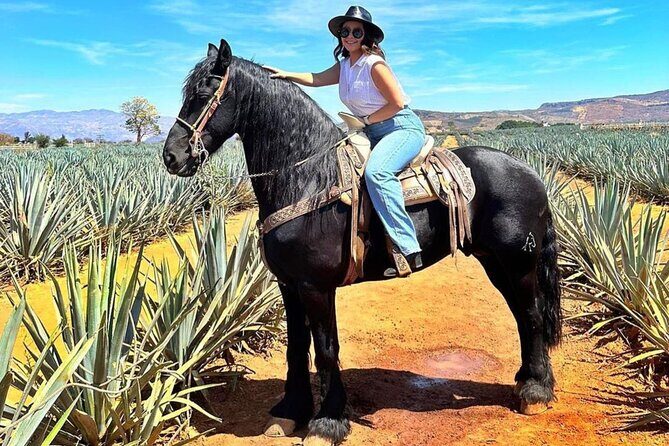 Visit to Matices Hotel de Barricas in Tequila Jalisco - Final Thoughts: Is This Tour Worth It?