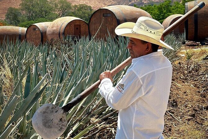 Visit to Tequila and Horseback Riding Among the Agave Landscape - Key Points