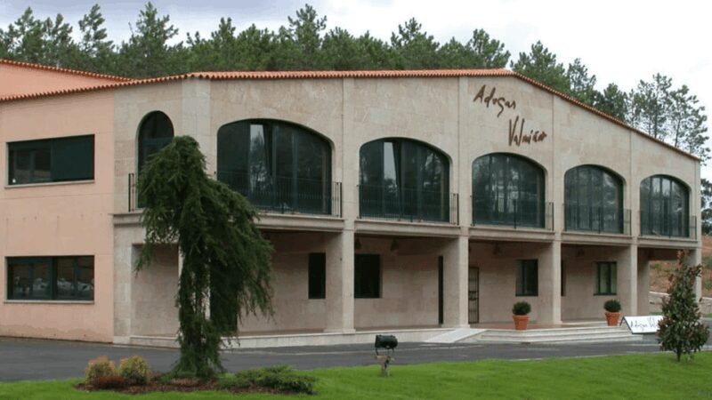 Visit to the Adegas Valmiñor winery and tasting - What to Expect from Your Visit to Adegas Valmiñor