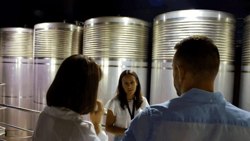 Visit to the Adegas Valmiñor winery and tasting - Final Thoughts: Is This Experience Worth It?