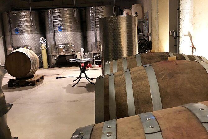 Visit to the Faugères Vineyards with Picnic from Béziers - The Practical Details