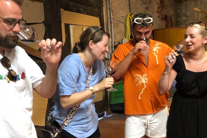 Visit to the Faugères Vineyards with Picnic from Béziers - What Might Be a Downside