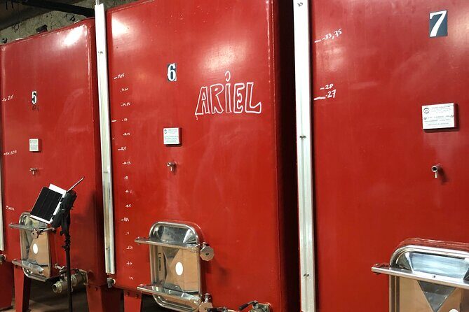 Visit to the Faugères Vineyards with Picnic from Béziers - Final Thoughts