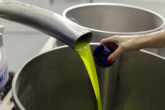 Visit to the oil mill with EVOO experiences in Cuenca - Going Beyond the Basics: What to Expect on the Tour