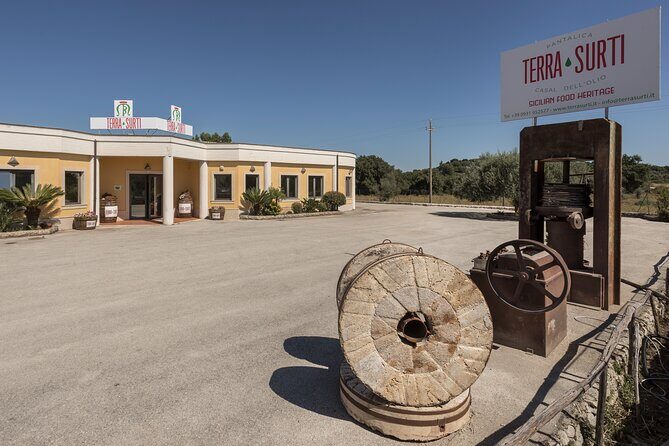 Visit to the olive grove, oil tasting and lunch at the farm - Final Thoughts: Is It Worth It?