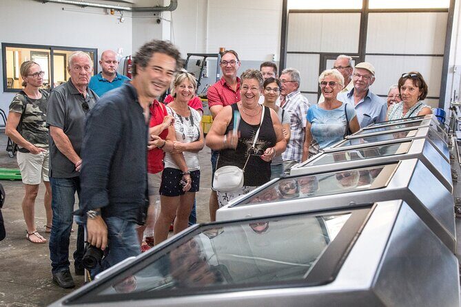 Visit to the olive grove, oil tasting and lunch at the farm - Final Words