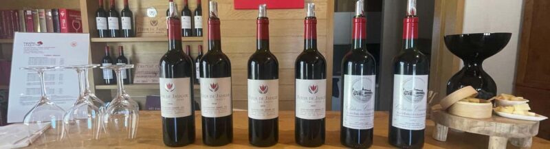 Visit to the property and wine/cheese pairing workshop - Practical Tips for Visitors