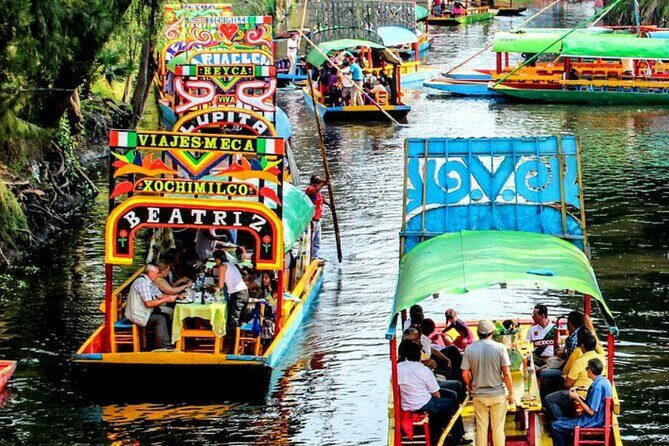Visit to Xochimilco, Coyoacán and Ciudad Universitaria - Final Thoughts