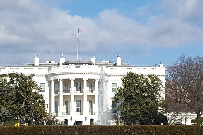 visit Us capitol DC Full Day Tour cherry blossom 1 hour boat ride - A Deep Dive into the Tour Experience