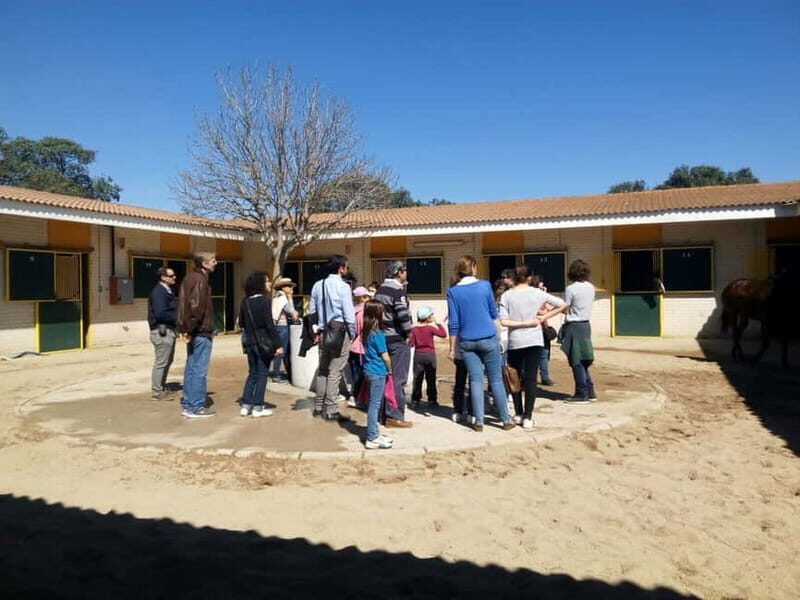 Visita guiada a las Carreras/Hipódromo de la Zarzuela-Madrid - What Is the Zarzuela Racecourse Tour All About?