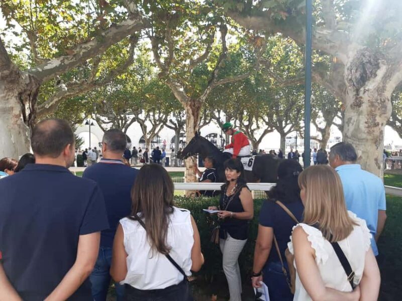 Visita guiada a las Carreras/Hipódromo de la Zarzuela-Madrid - What’s Included and What’s Not