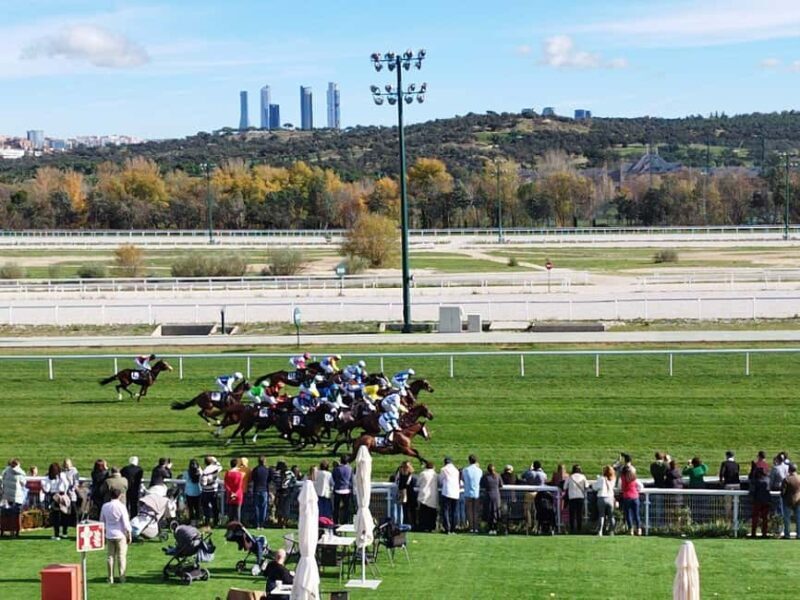 Visita guiada a las Carreras/Hipódromo de la Zarzuela-Madrid - Who Should Consider This Tour?