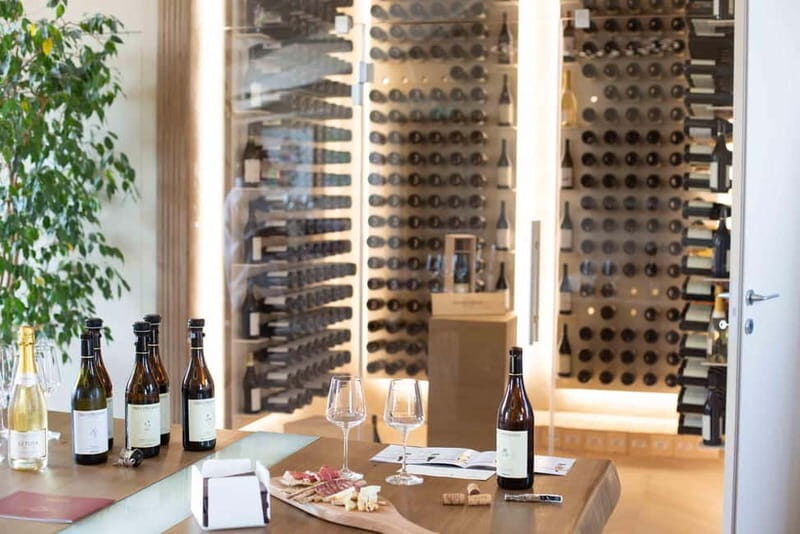 Visita guidata e Degustazione vini Monforte d'Alba - Exploring the Monforte dAlba Wine Tour with Diego Pressenda La Torricella