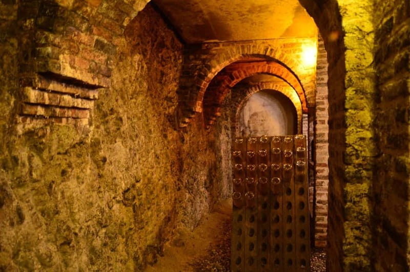 Visita guidata e Degustazione vini Monforte d'Alba - The Itinerary in Detail