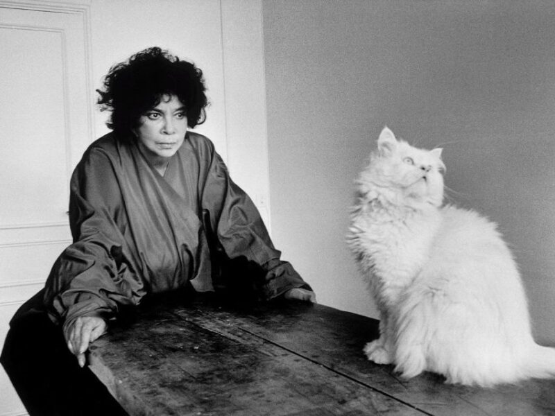 Visita guidata- Fernando Botero " Tecnica Monumentale" - Frequently Asked Questions