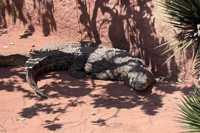 Visite the Crocodiles Park and Botanic garden - FAQ