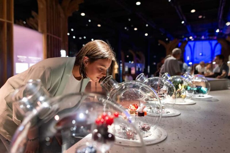 Visitor trail of the Cité in Beaune - Real-World Feedback: What Others Say