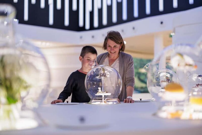 Visitor trail of the Cité in Mâcon - An In-Depth Look at the Visitor Trail Experience