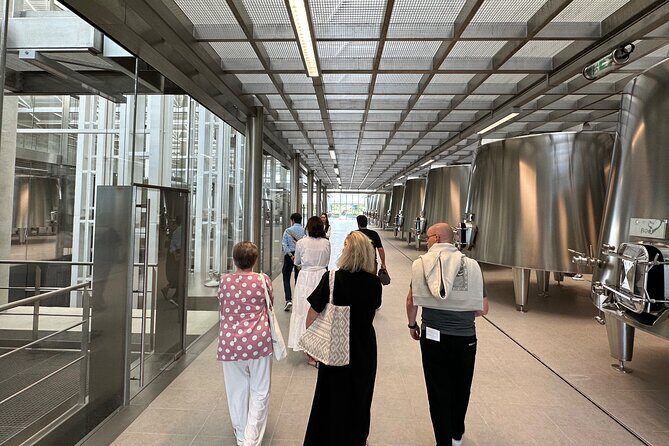 Visits and Tastings in the Médoc in Small Group with Meal - The Value and Experience