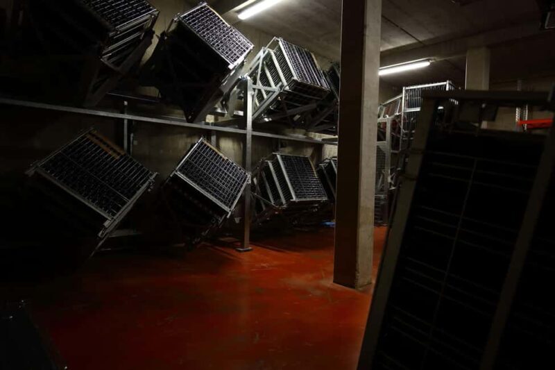 Vitteaut-Alberti: cellar tour, tasting of Crémants de Bourgogne - Key Points