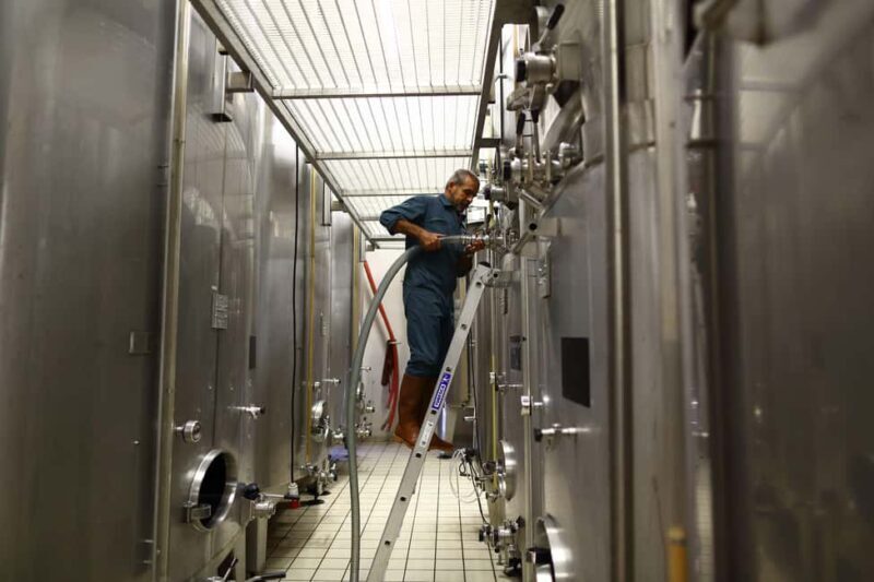 Vitteaut-Alberti: cellar tour, tasting of Crémants de Bourgogne - Final Thoughts