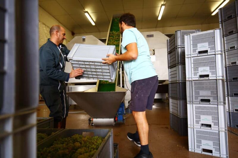 Vitteaut-Alberti: complete tasting of our Crémants de Bourgogne - FAQ